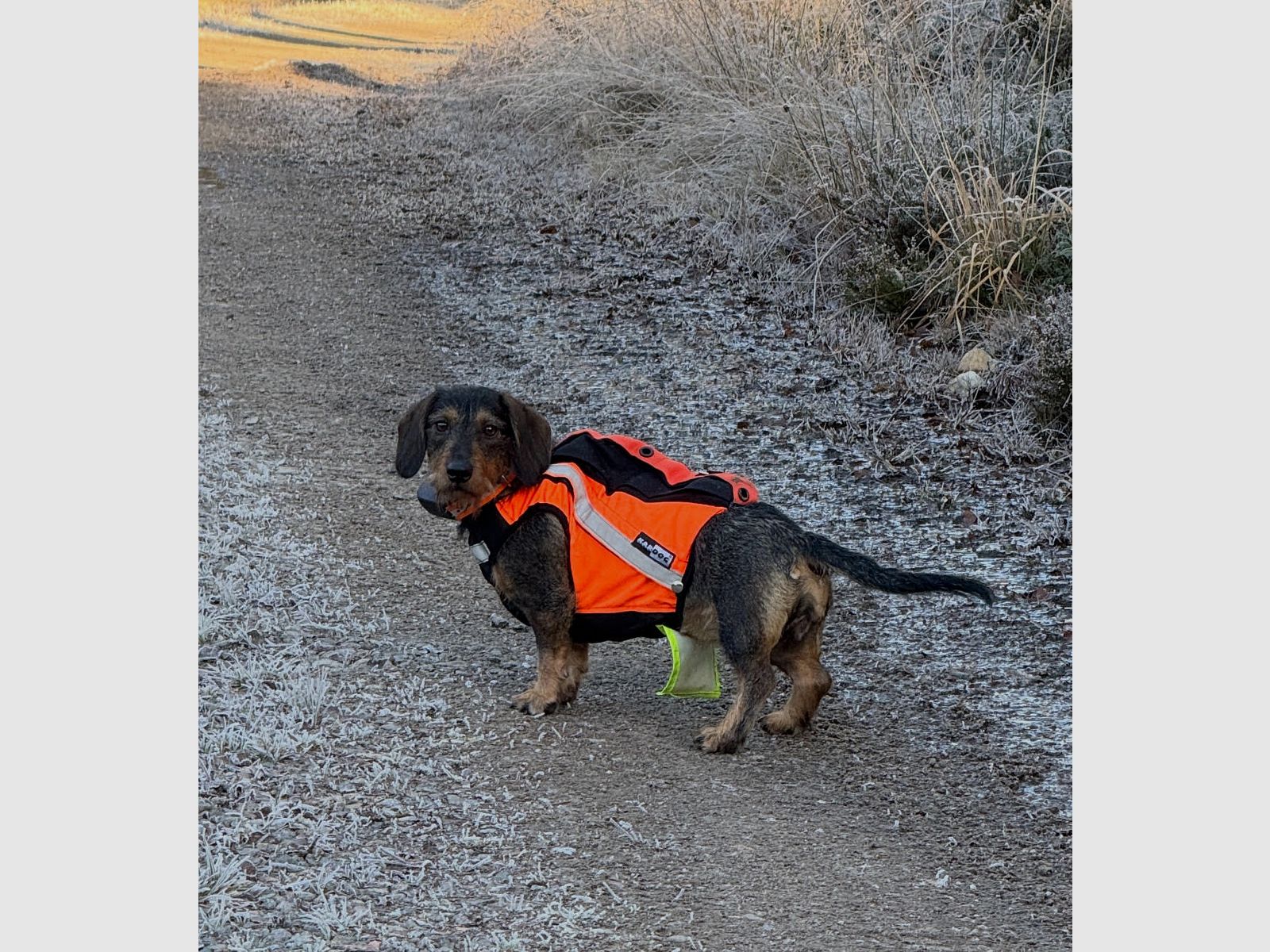 Sulo GPS- väst med hög synlighet DH4