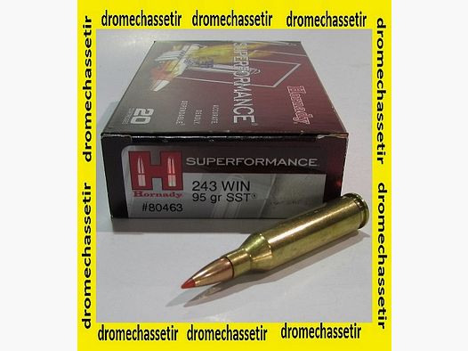 1 pudełko 20 nabojów kal. .243 Winchester, Hornady 95 grs SST, ref 80463