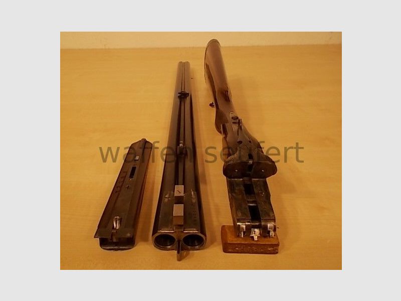 Forest double-barreled shotgun colored and engraved