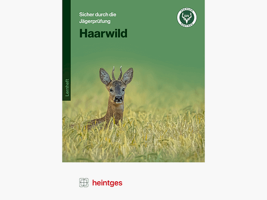 Feuilles de travail Examen de chasseur "Haarwild"