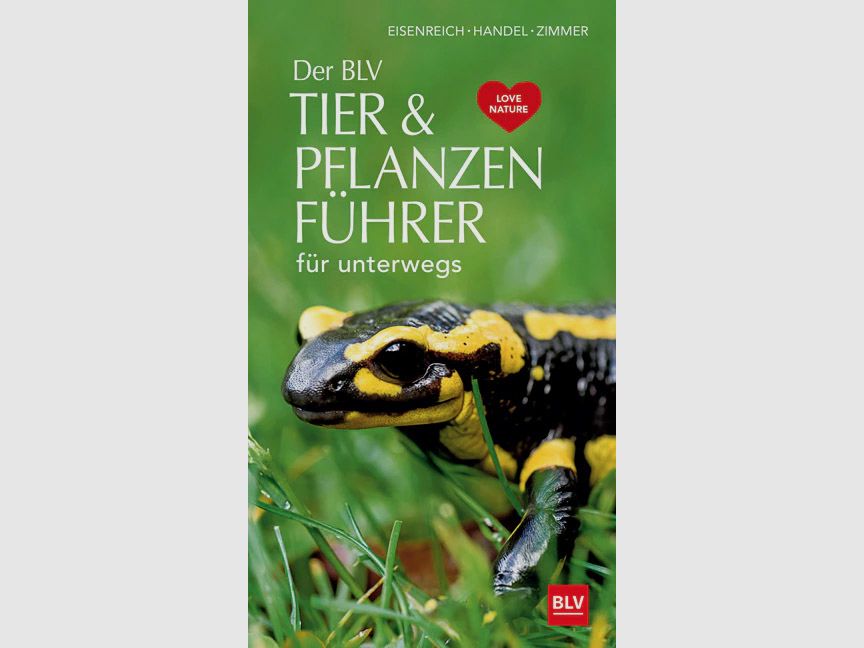 Eisenreich- BLV -Animali & Piante Ute E. Zimmer