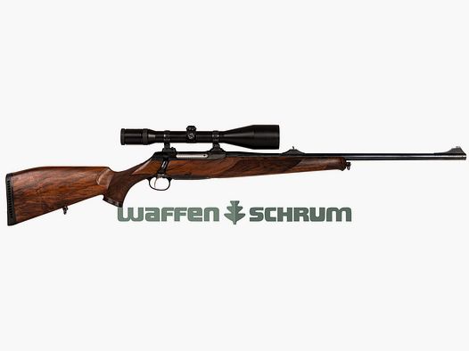 Sauer 202 Elegance , ZF Diavari-Z 3-12x56 T* Abs. 44 bel., Sauer Schwenkmontage 9,3x62