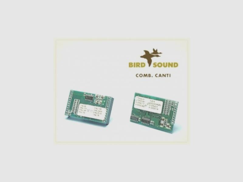 BIRD SOUND Gesangskarten