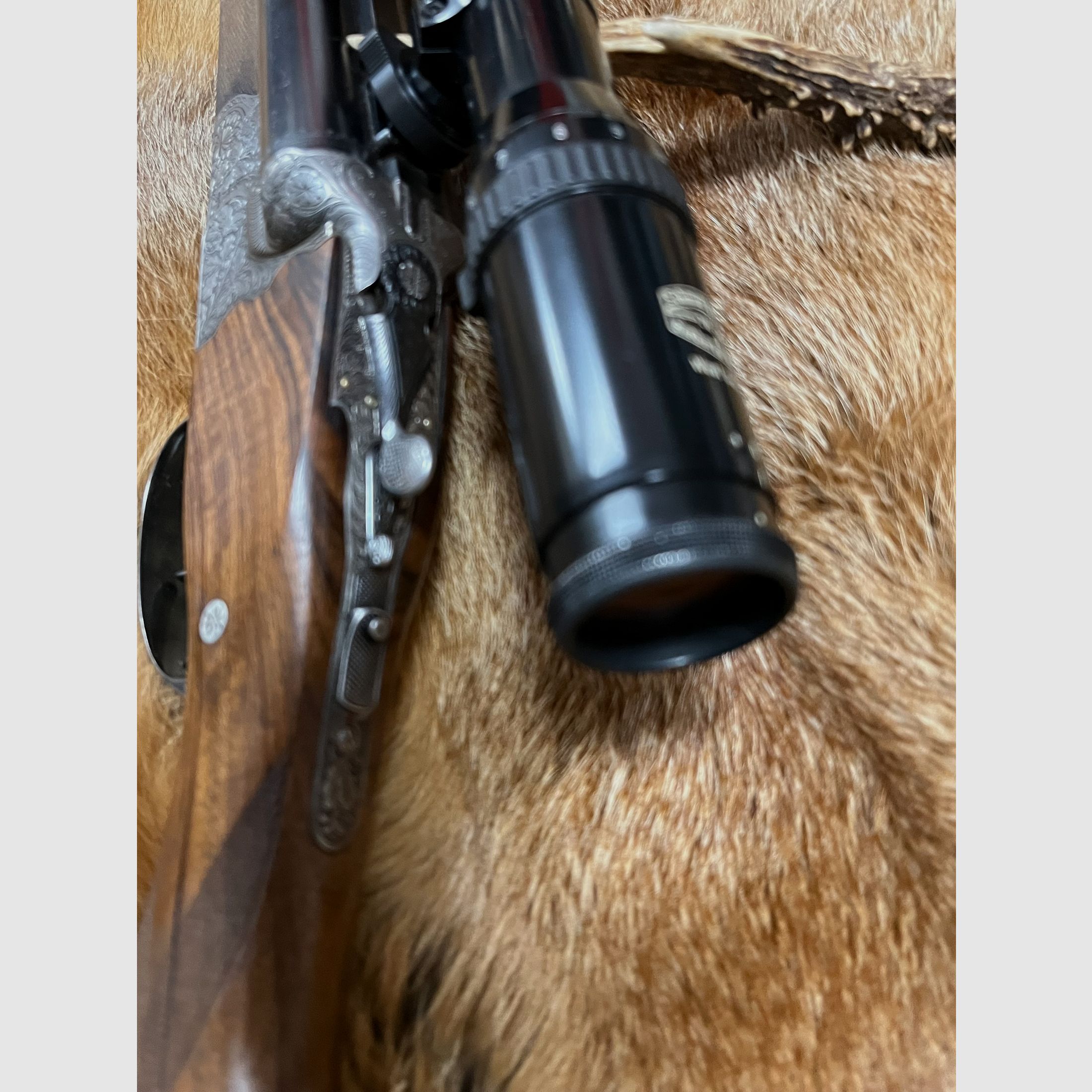 Krieghoff Waldschütz