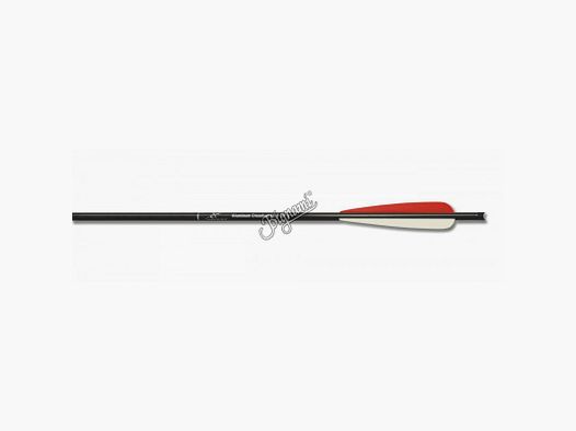CX DARDO BALESTRA GAME SLAYER 20" 36 STK