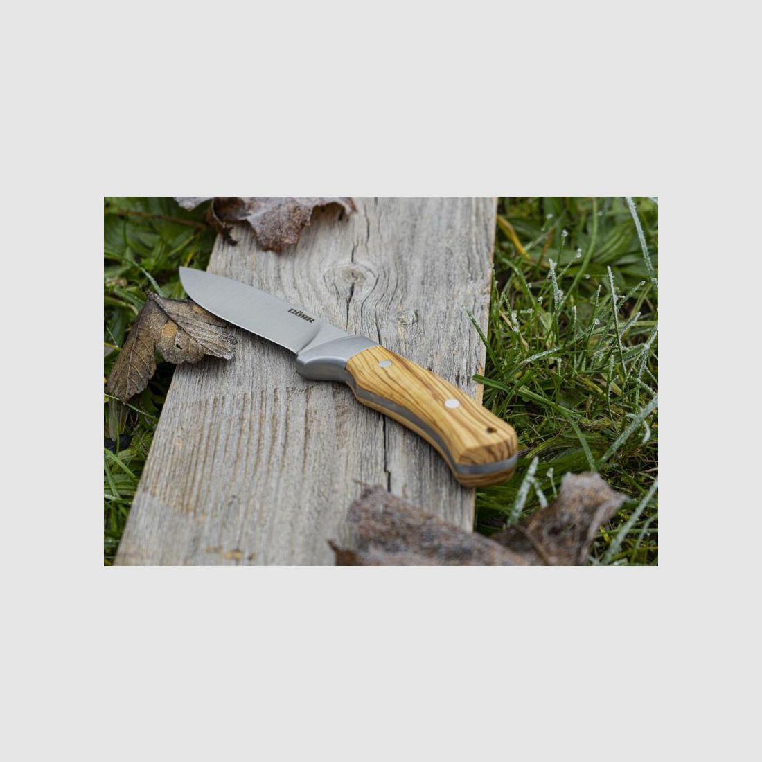 Dörr Jagd Messer Olivenholz M-110