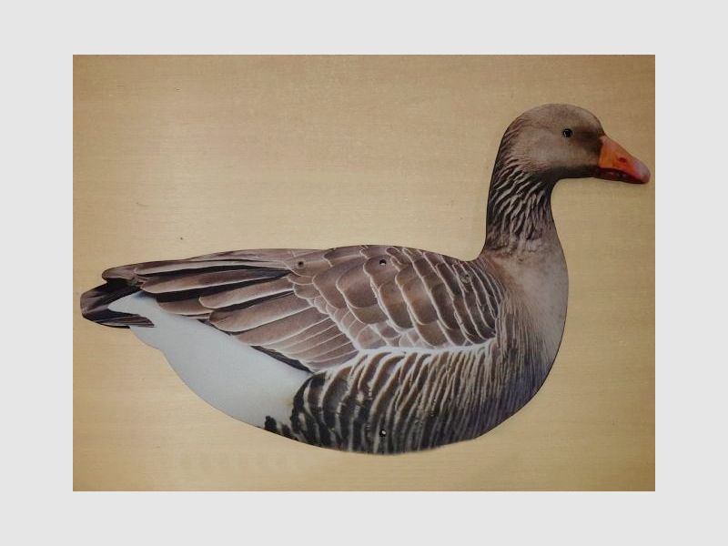 Graugans Lockvögel, Bild 3 von 3