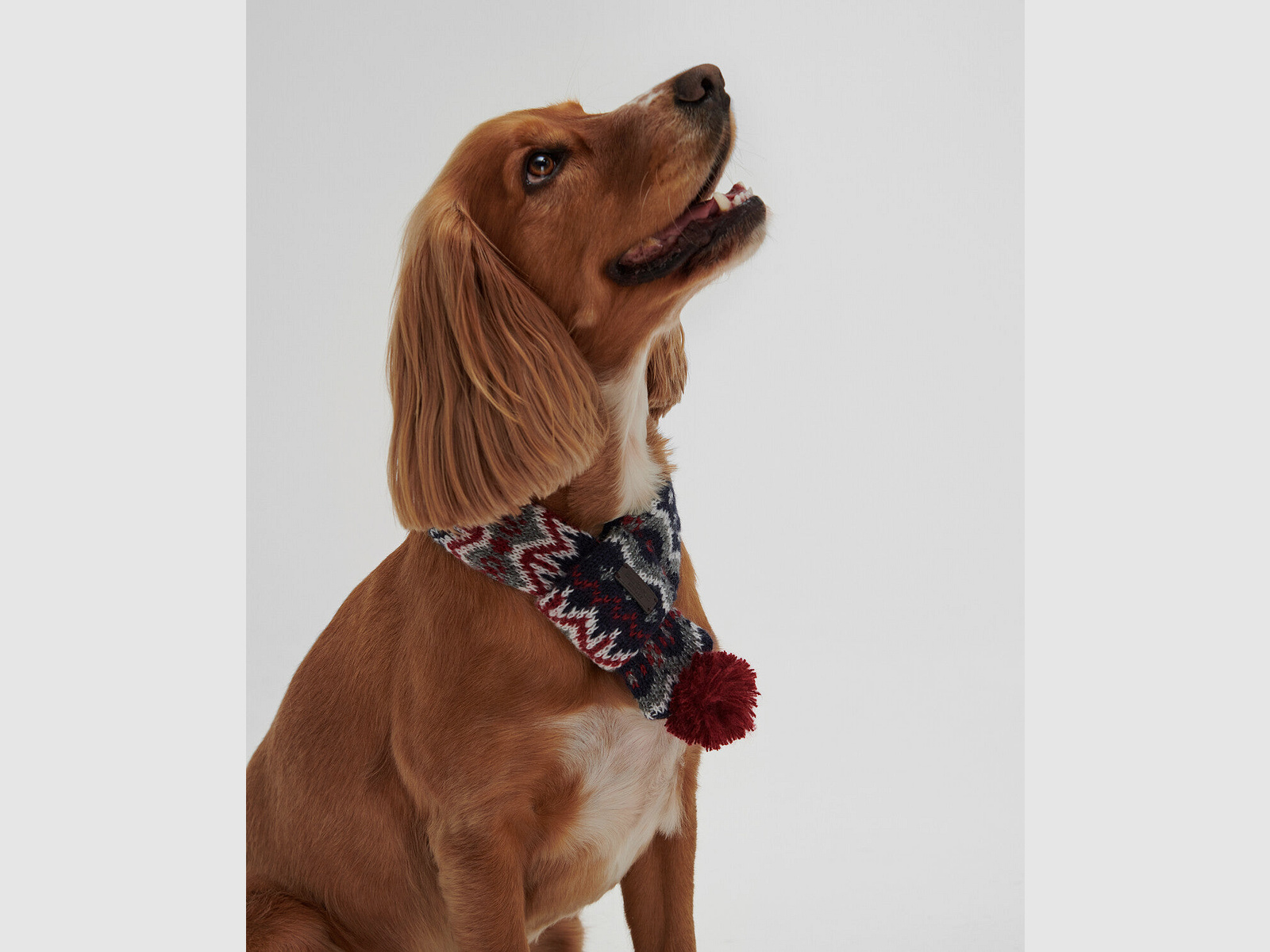 Bufanda para Perros Barbour Fairisle