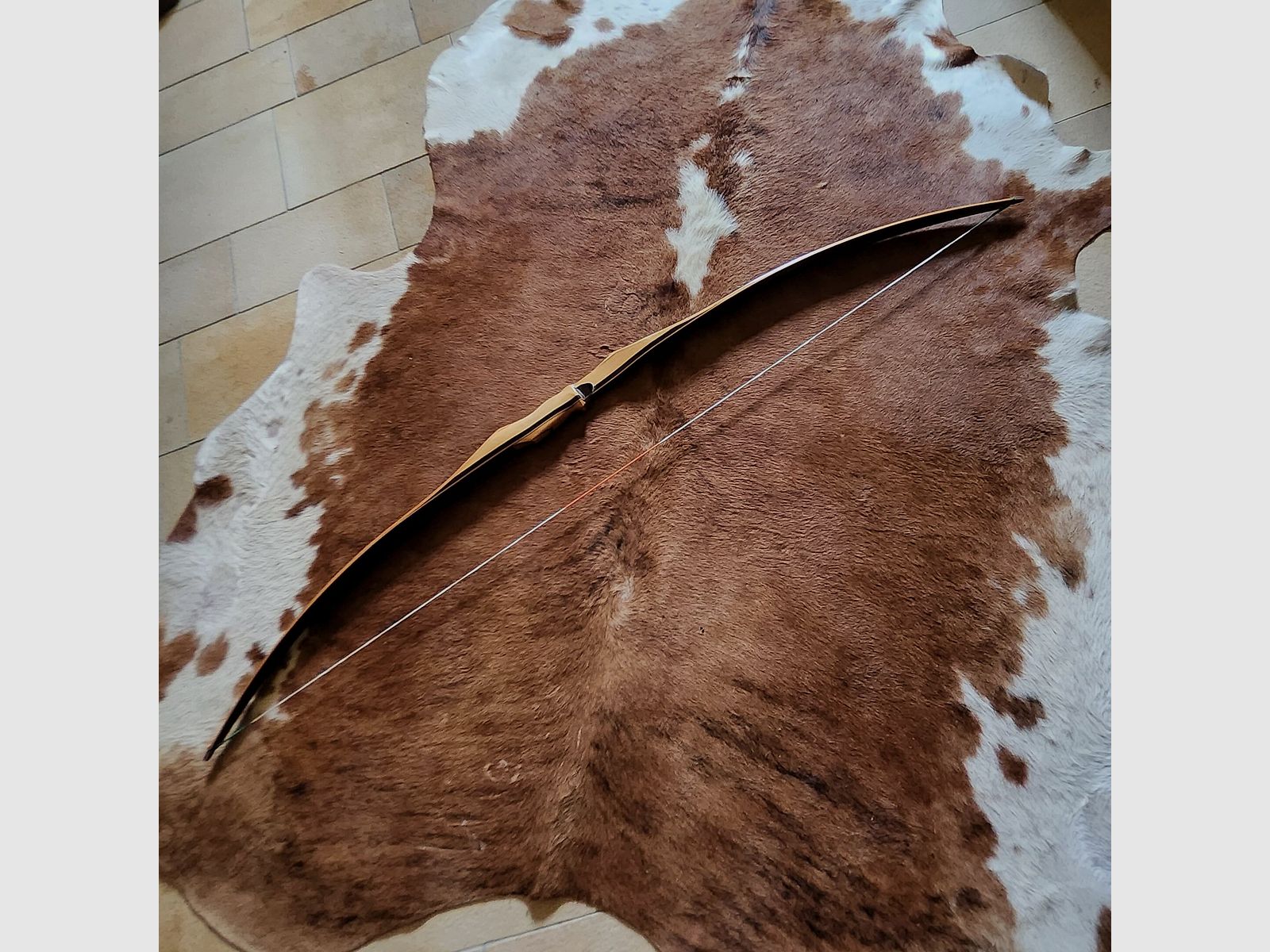 Black Flash Archery Jagdbogen Impala Bogen im Set