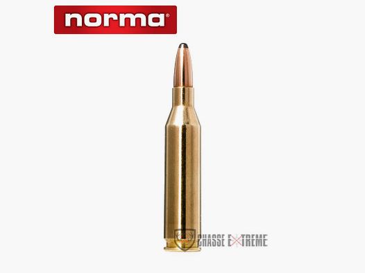 20 Cartucce NORMA Ctg cal 243 Win 100gr Whitetail