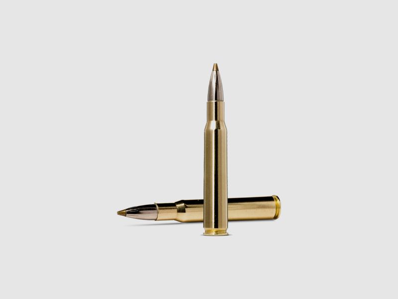 Norma Evostrike 6.5×55 6g, immagine 2 di 2
