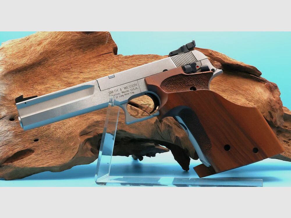 Smith & Wesson 2206 Target Champion