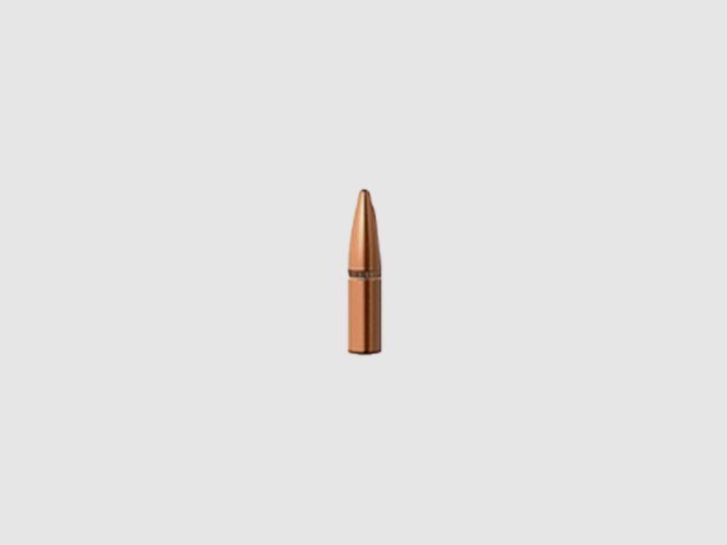 Barnes Geschoss .223/5,56/.224 55GR MPG FB 100 Stück