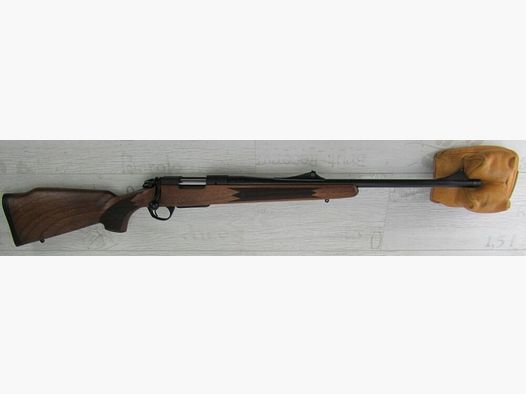 Bergara B14 Timber 22