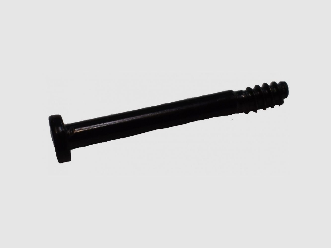 Strap Mounting Screw Sportdog TEK 1.0, image 1 of 3