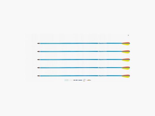 Pfeile 29"/2.5" Gelb 5 St. Aluminium Verpackung 4 St.