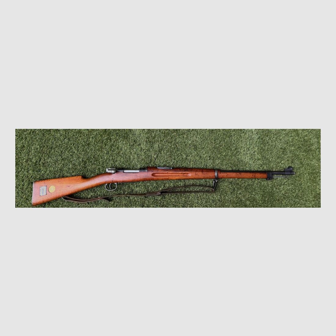 Carl Gustafs M 96 6,5x55SE