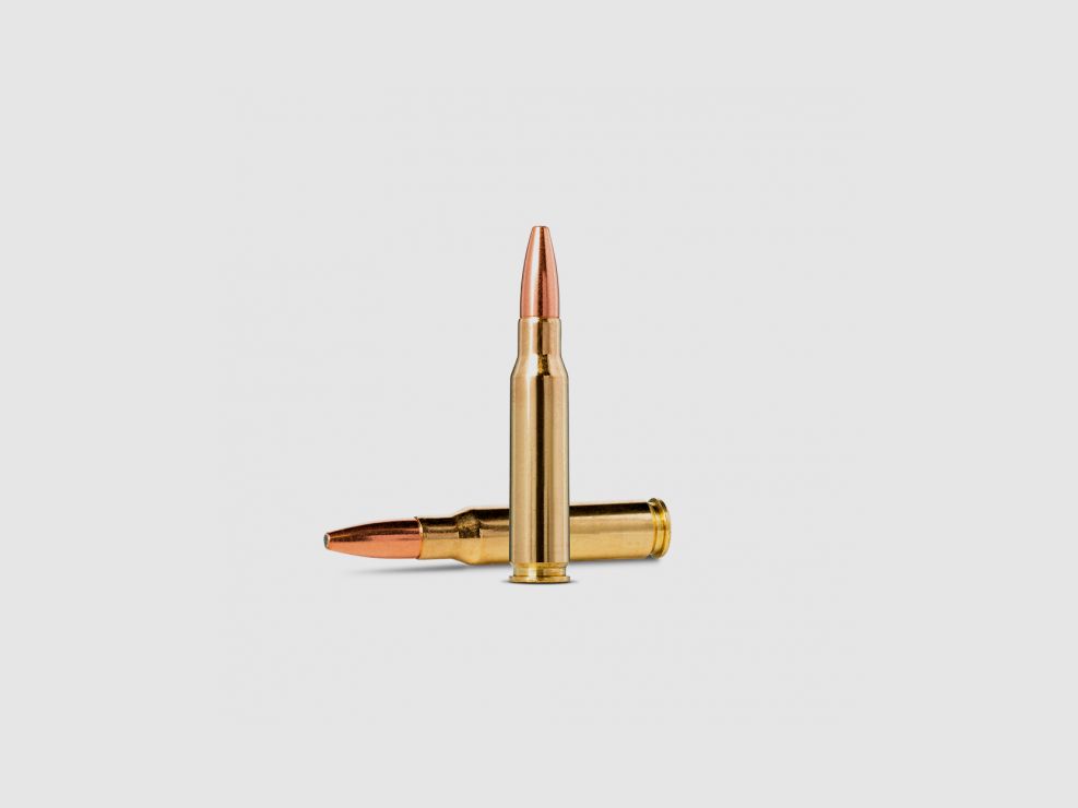 Büchsenmunition NORMA .308 Win. SP 150 Gr, Bild 35 von 45
