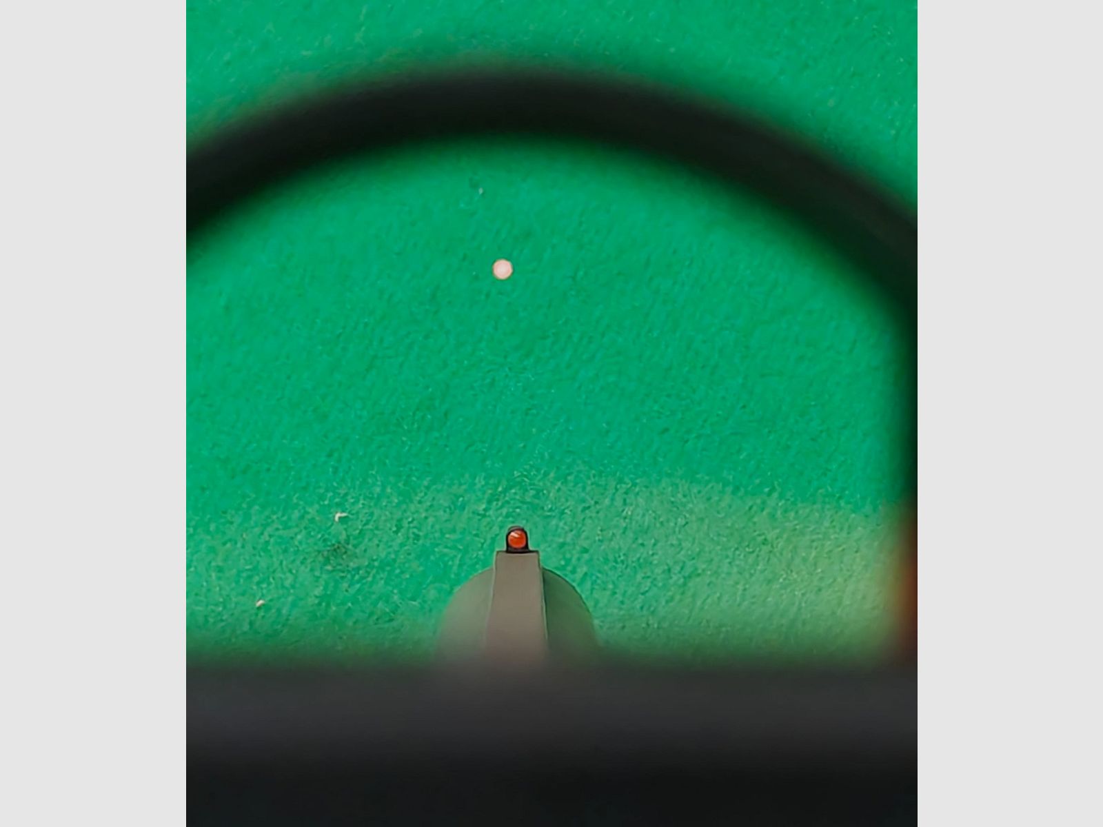 Winchester SX4FDE 12/76 incl. Meopta Meosight IV