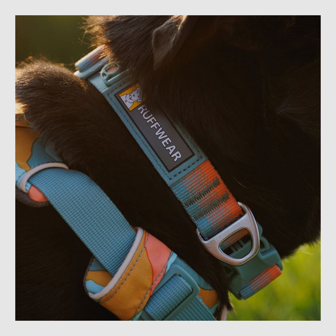 Ruffwear Front Range™ Halsband (Halsomtrek 28-36 cm – Spring Fade), afbeelding 4 van 6