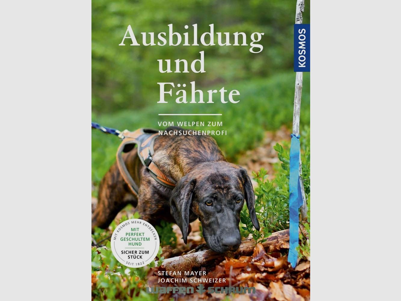 Kosmos Training and Trail Mayer