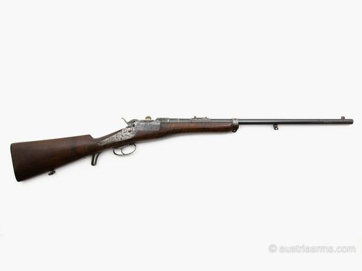 Werndl Gewehr kurz, Sammlerwaffe.