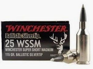 Cartuchos Winchester 25 WSSM 115gr. !!!