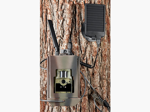 Stahlkasten für GPRS-Cam+ 8MP, SMS, MMS & mail, BLACKFLASH
