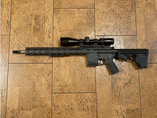 DAR AR15 semi-automatic exclusive in .223 and .22 conversion system