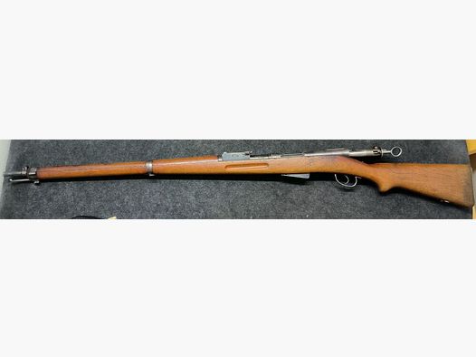 Schmidt Rubin G11