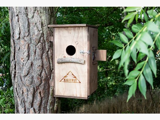 Caja para martas
