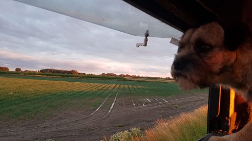 Ansitzfenster – professioneller Schutz und mehr Komfort auf dem Hochsitz