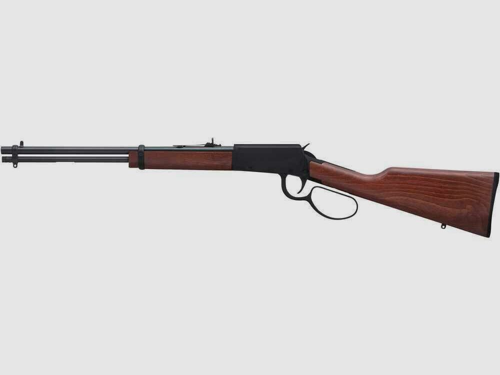 Rossi Rio Bravo