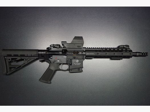 Schmeisser AR15 Dynamic Black Falke LE
