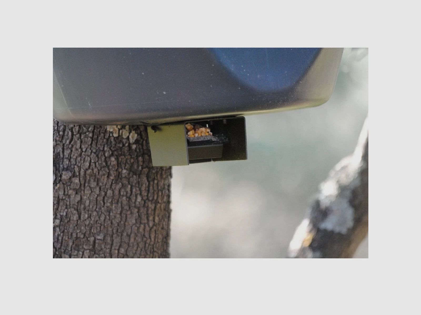 Automatischer Futterspender BSF Yimi, Bild 6 von 7
