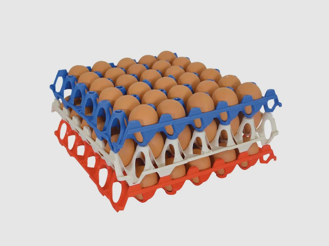 Juego de 10 bandejas apilables para huevos de plástico apto para alimentos 30 × 30 cm, imagen 1 de 6