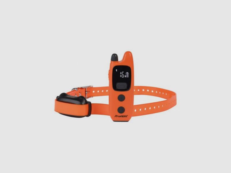 Collier de Dressage ProHunt 600 mètres, image 1 sur 6
