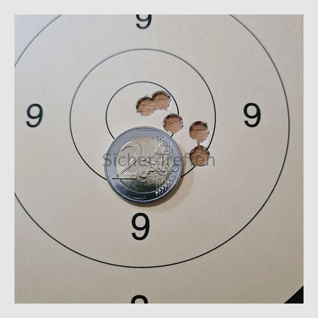 Blaser R93, imagen 10 de 10