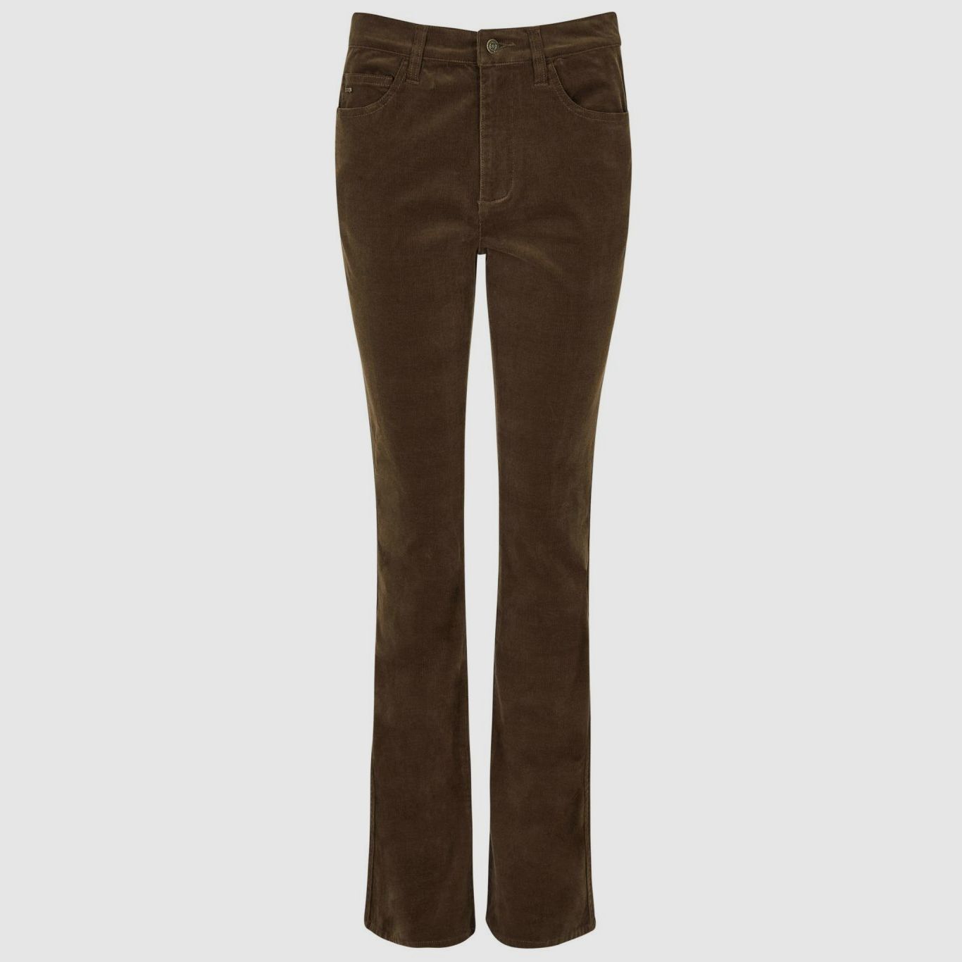Dubarry Hose Elderflower Bootcut Mocha