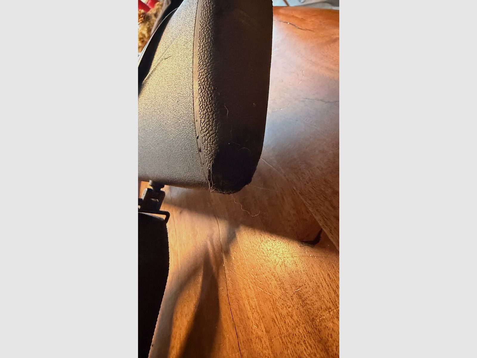 Blaser R8 Professional Succes Leder (braun) in 300 Win Mag