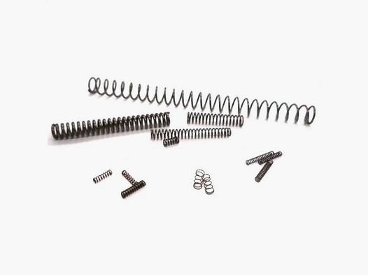 Service Pak Type I STD Pistola S&W