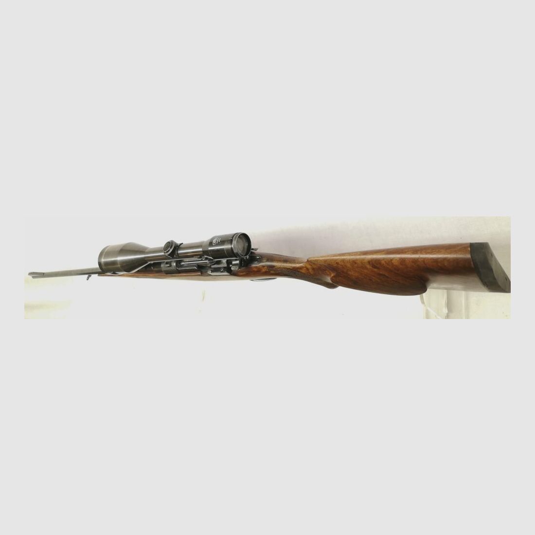 Honold Ulm avec Zeiss Diastal 8x52