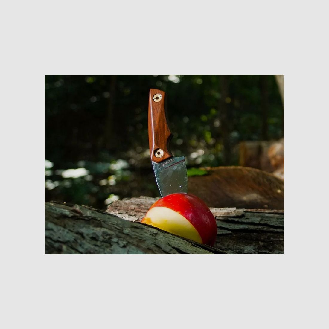 WOOX Jagd- Bushcraftmesser BAD BOY