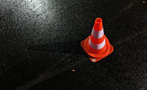 Wildunfälle: Prävention, Verhalten und Konsequenzen