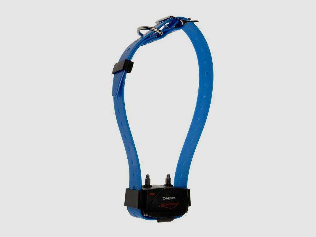 Collier d'éducation Canicom seul, image 4 sur 10