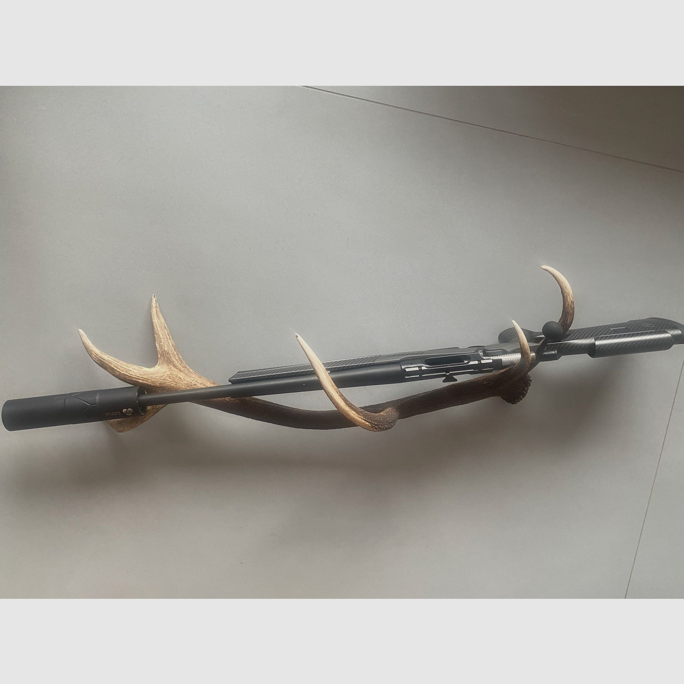 Sauer 202 carbon stock caliber 308