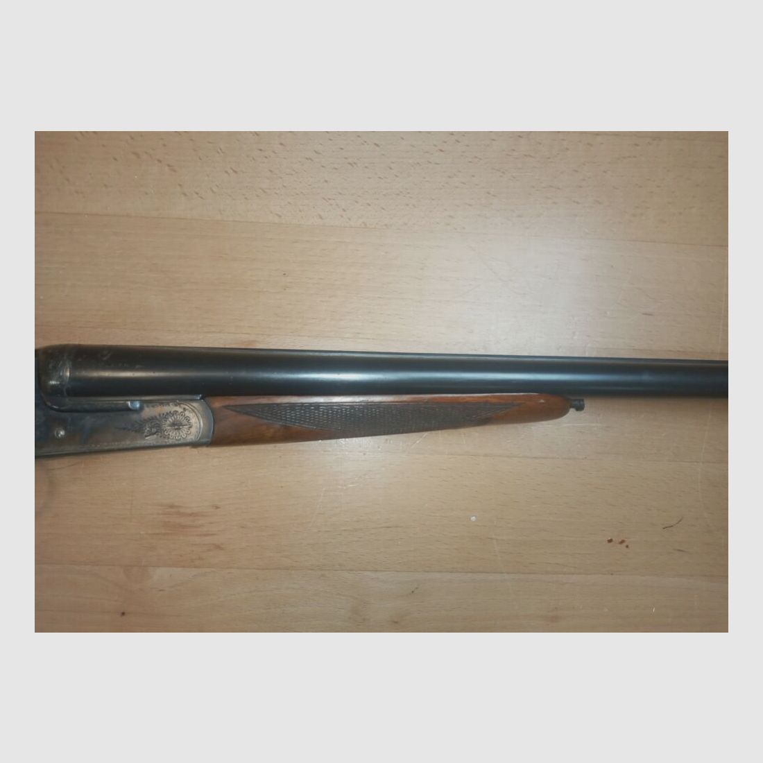Geco Aigle