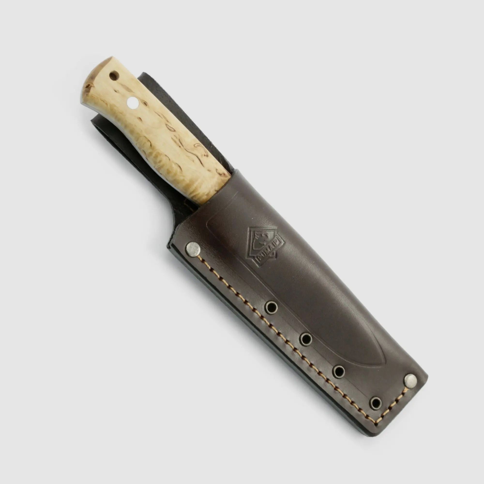 PUMA IP beaver