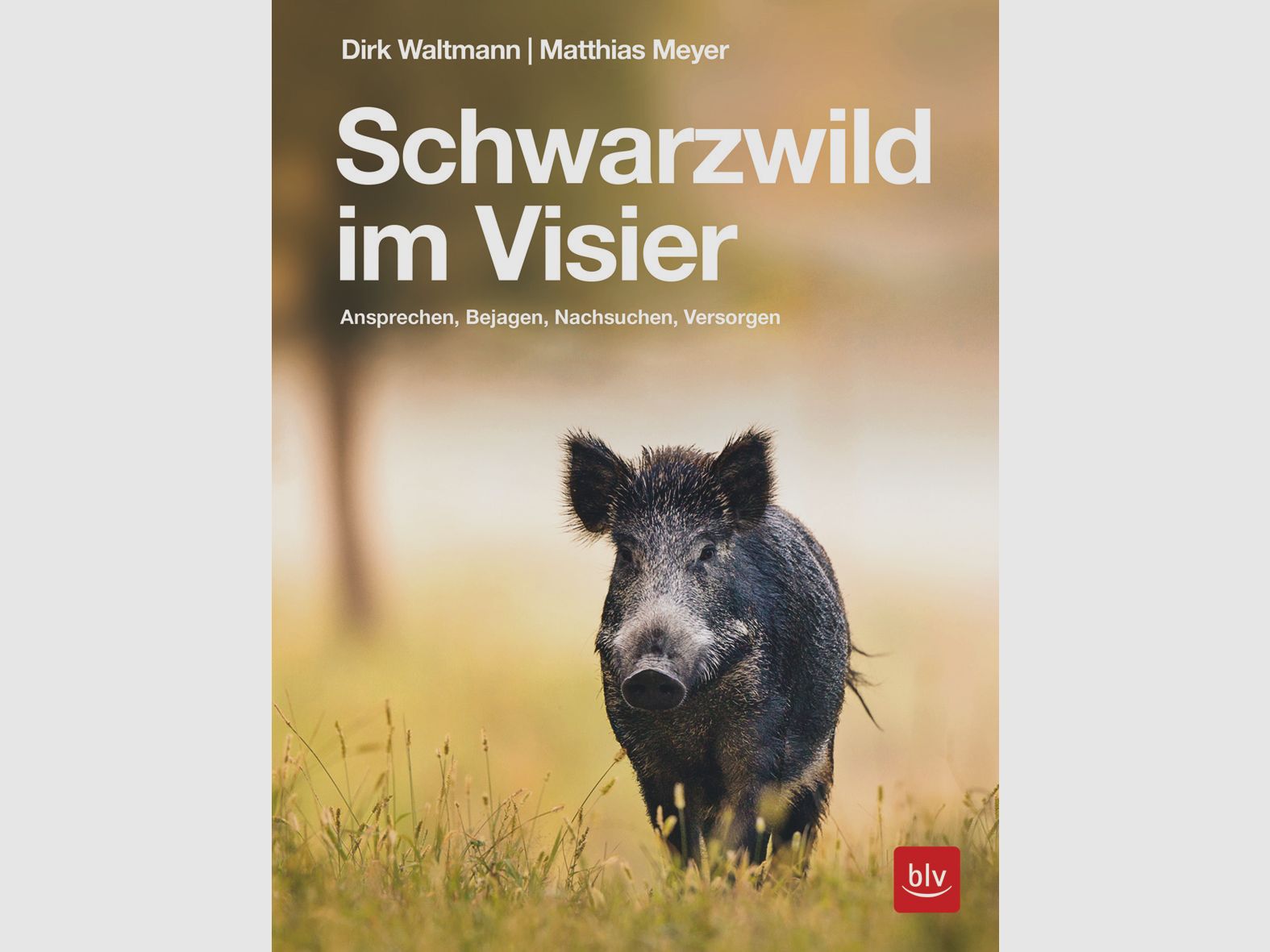 Schwarzwild im Visier