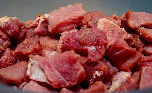 BARF für Hunde - wie geht das?